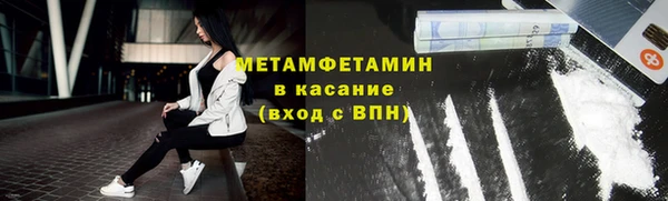 индика Няндома