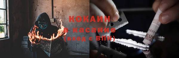 индика Няндома
