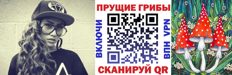 Галлюциногенные грибы Psilocybe  купить наркоту  блэк спрут маркетплейс  Реутов 